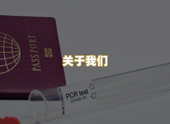关于我们